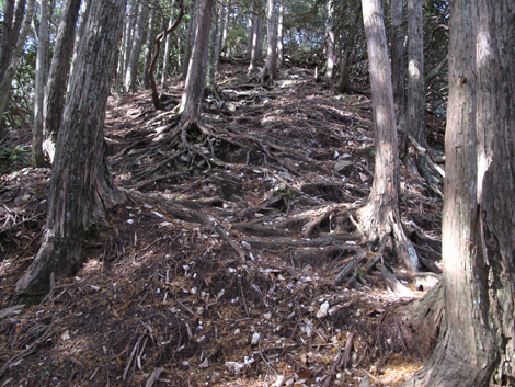 20131124hike (249)